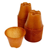 Plastikfreier Pflanztopf Plenta – 6 cm – 24er Set